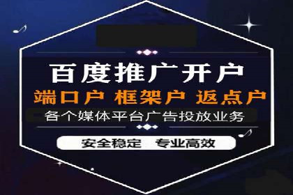经典案例：SEM代运营服务公司的成功之路